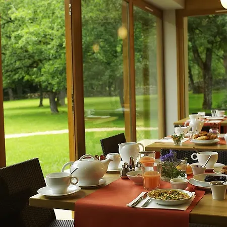 艾斯克拉尔奇酒店 酒店